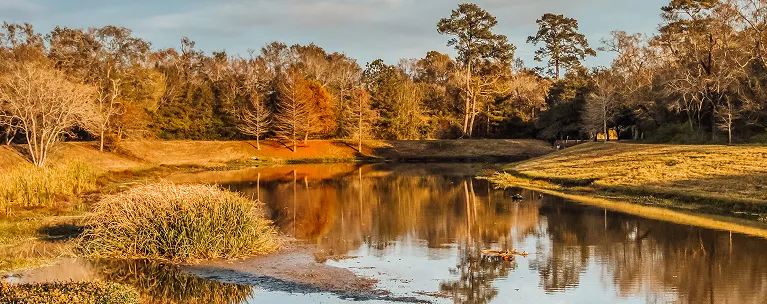 Tranquil autumn landscape with reflective pond, golden trees, and clear sky.