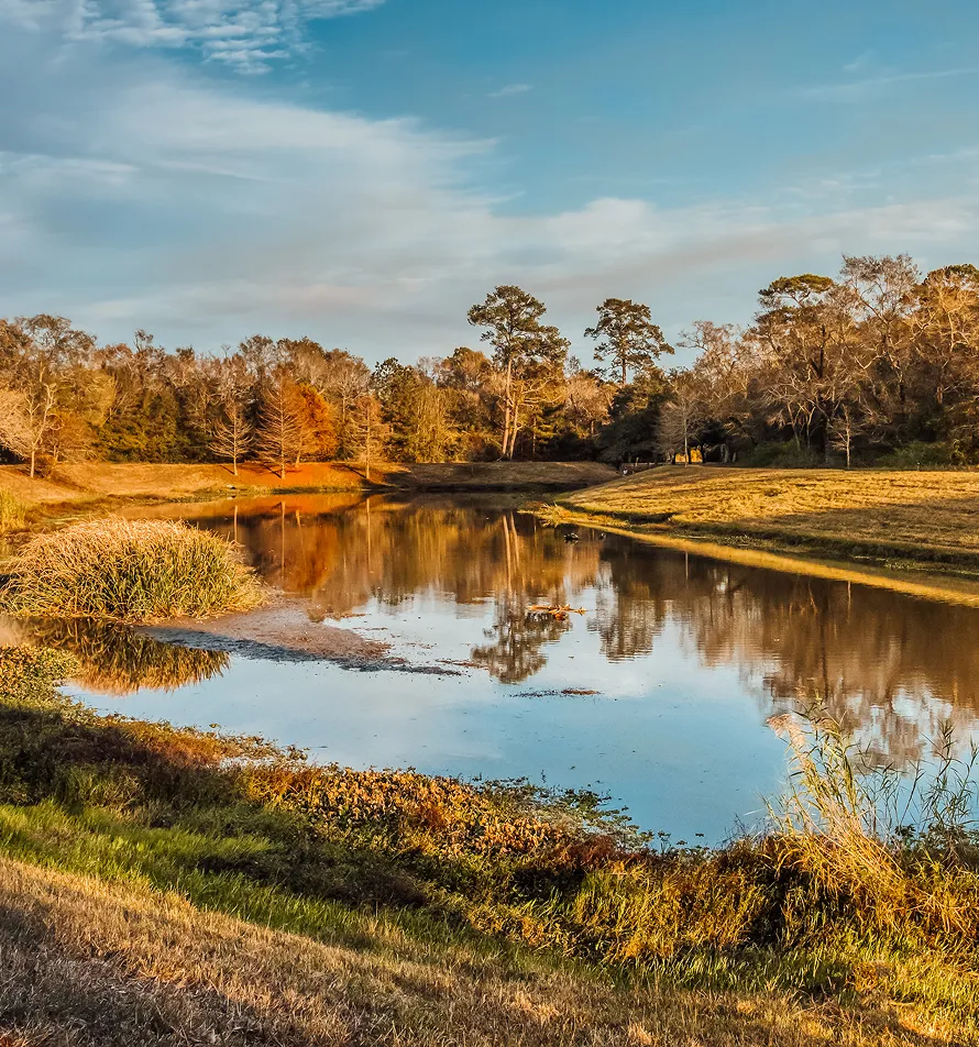 Calm pond surrounded by autumnal trees and grassy banks under a partly cloudy sky.