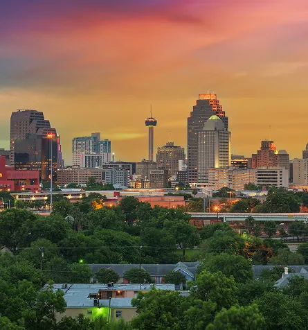 City skyline at sunset with illuminated buildings and lush green foreground.